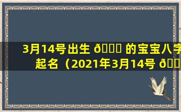 3月14号出生 🕊 的宝宝八字起名（2021年3月14号 🐒 出生的宝宝名字）